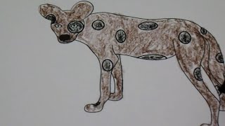 Day 1 Lesson 5 African Dog Color Page Clever Cat Preschool, Clever Cat PreK