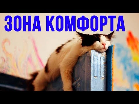 ЗОНА КОМФОРТА. Что это за зона и как она появилась?