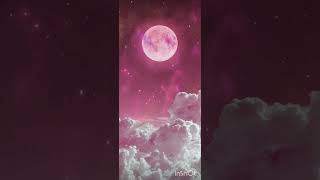 Cojke - Moj Grad,Moja Pravila