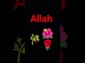 Allah #quran #love