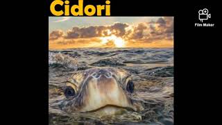 Download Lagu Cidori - Toimîrî Bwati Jawe ( Acstq ) MP3