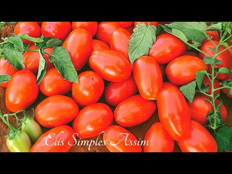 Vídeo: Como Manter Os Tomates Frescos Para O Inverno