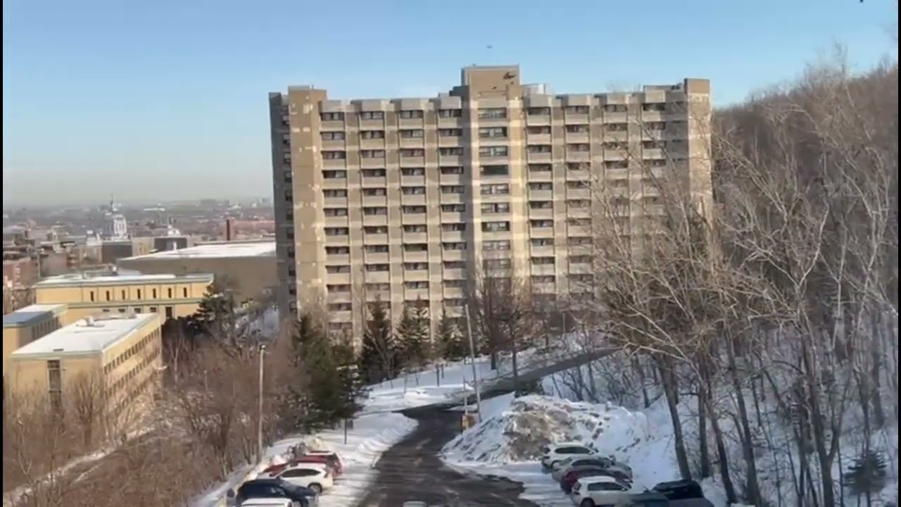 Heavy Snow in Montreal ❄️ | Montreal Covered in White Winter Wonderland 🇨🇦 #montreal #canada #winter