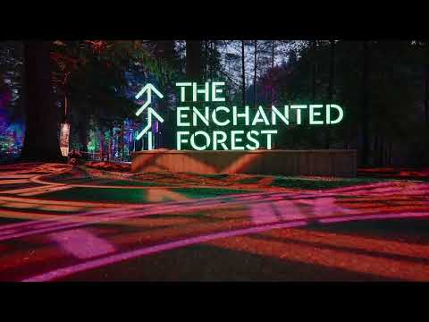 The Enchanted Forest - Stop The Clock: The 25th Hour