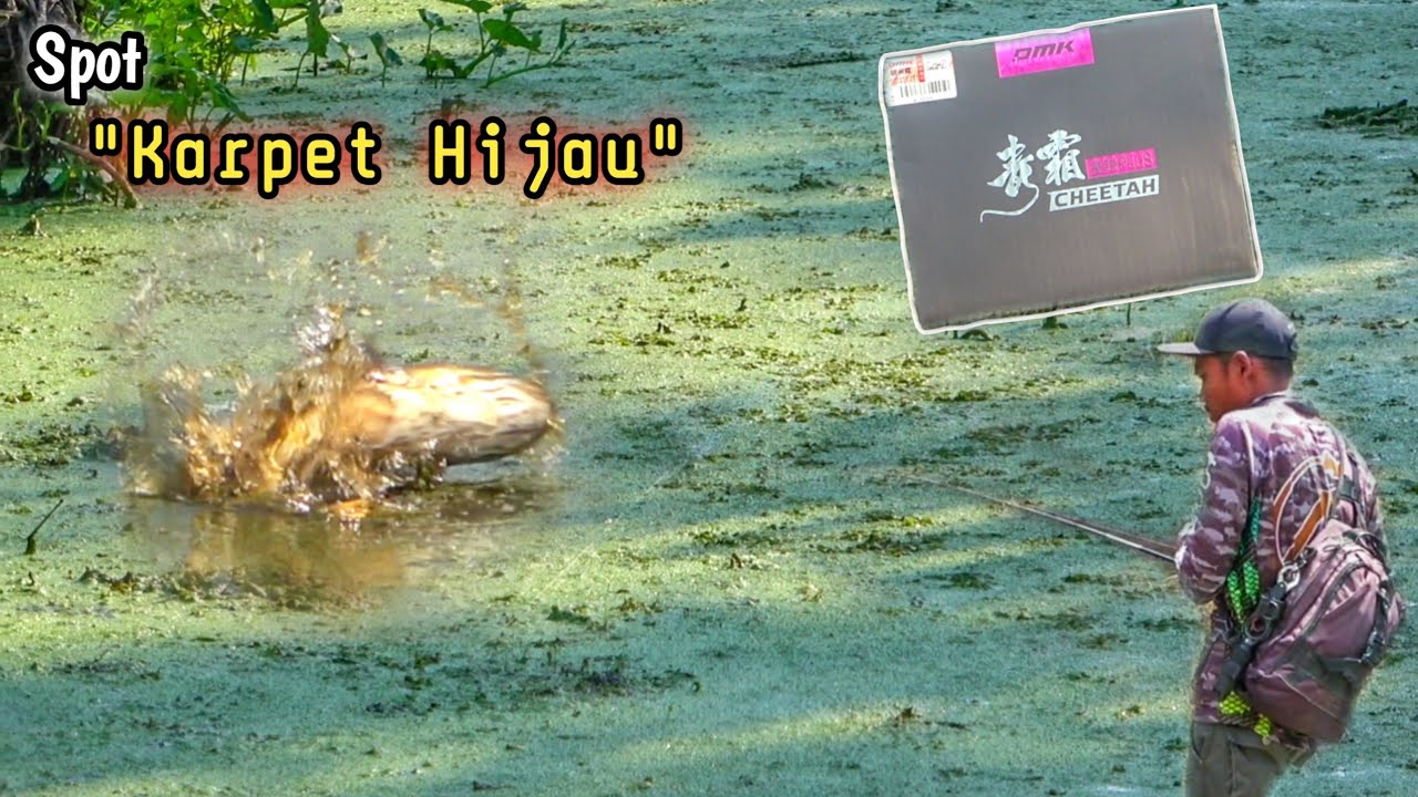 Test Reel Viral Langsung Diserbu Ikan 🤣🤣🤣