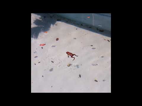 Microplásticos - Brinca Comigo