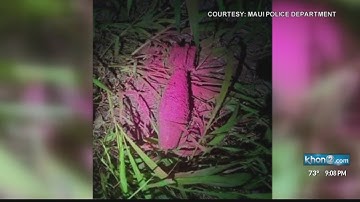 Unexploded mortar found near Wailea home on Maui