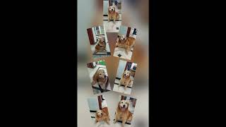 Contact Now For The Treatment Of Good Stomach Health