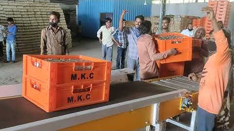 Crates Boxes & Bags Loading Unloading conveyors by MMC