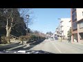 かなざわの城石垣、ソメイヨシノ❤️今年はまちが、静か