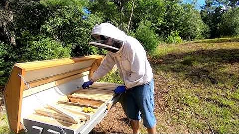 Top Bar Hive: Part 2