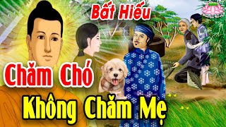 Chuyện Nhân Quả Phật Giáo 2024 Mới Nhất, CHĂM CHÓ HƠN CHĂM MẸ Lũ Con Bất Hiếu Bị Báo Ứng Kinh Hoàng