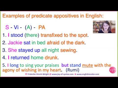 Predicate appositives in English and German