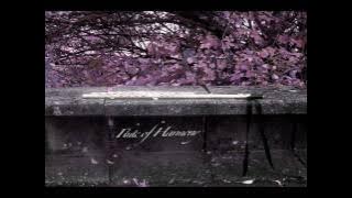 Download lagu Flute of Harmony - Sadness and Sorrow vs Grief and Sorrow