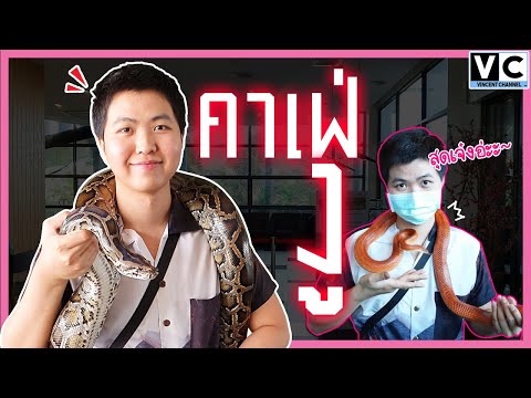 พาไปชม "คาเฟ่งู" ที่ Siam Serpentarium l พิพิธภัณฑ์งูลาดกระบัง_04...คาเฟ่งูที่ดีที่สุดในประเทศไทย.