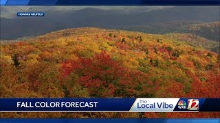 Appalachian State Biology professor breaks down the fall color forecast