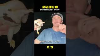 鮑比潛入廢棄豪宅,驚見巨無霸花貓!徒手生擒超巨貓咪,這尺寸太狂啦! #钓鱼 #捕鱼 #户外捕鱼 #河中巨怪 #杰瑞米瓦德