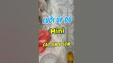 Lưới Úp Dù Mini Cao 8m x 50m / 1 Cầu Giữa  / 8cm ,Sợi 3. Lưới Làm Theo Yêu Cầu