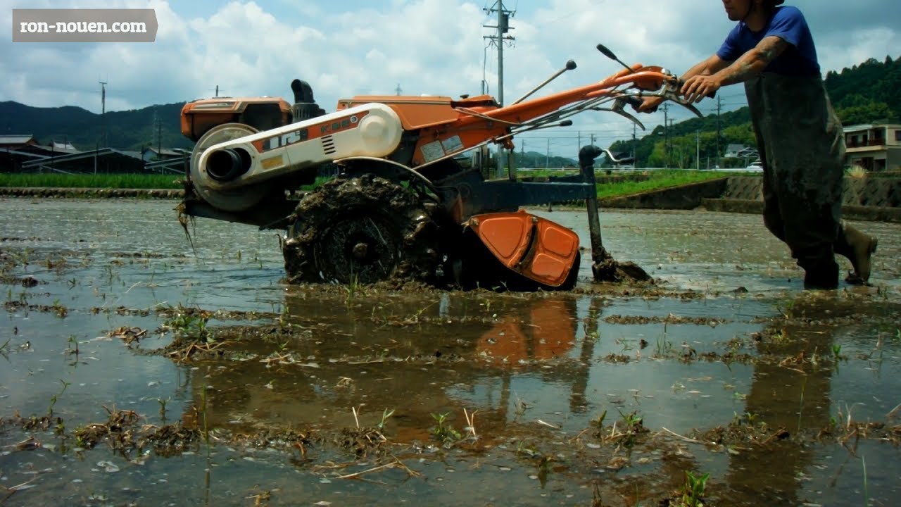 水苗代⇒耕運機で代掻き⇒田植えまで～②お米の自給自足～Old-fashioned rice planting.