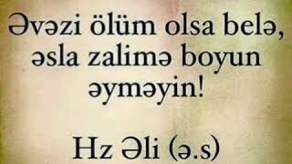 İmam Hüseyin Aşiqi Dünya Çempionu Elnur Alıyev.