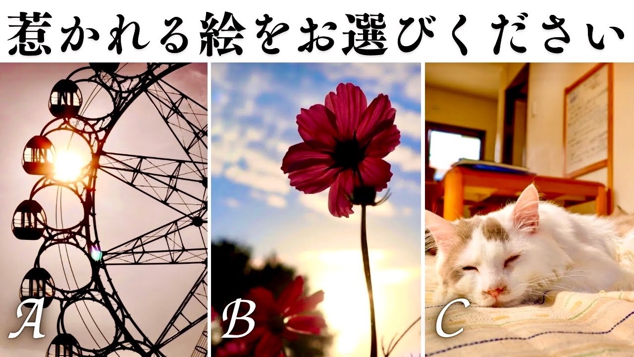 【タロット】あの人があなたについて考えてること。深堀り🔮#ねこタロ占い