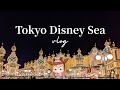 (sub) 🌏🚢 久しぶりの東京ディズニーシー / Tokyo Disney Sea vlog 🐅✨