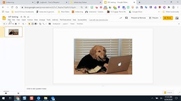 Embedding GIFs on itslearning content blocks