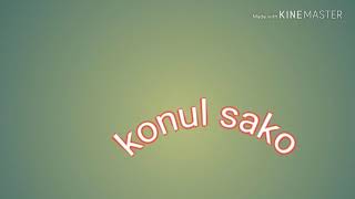 Sako Oyunda