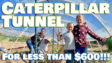 How To Build a Caterpillar Tunnel for less than $600 | FARMSKILLZ