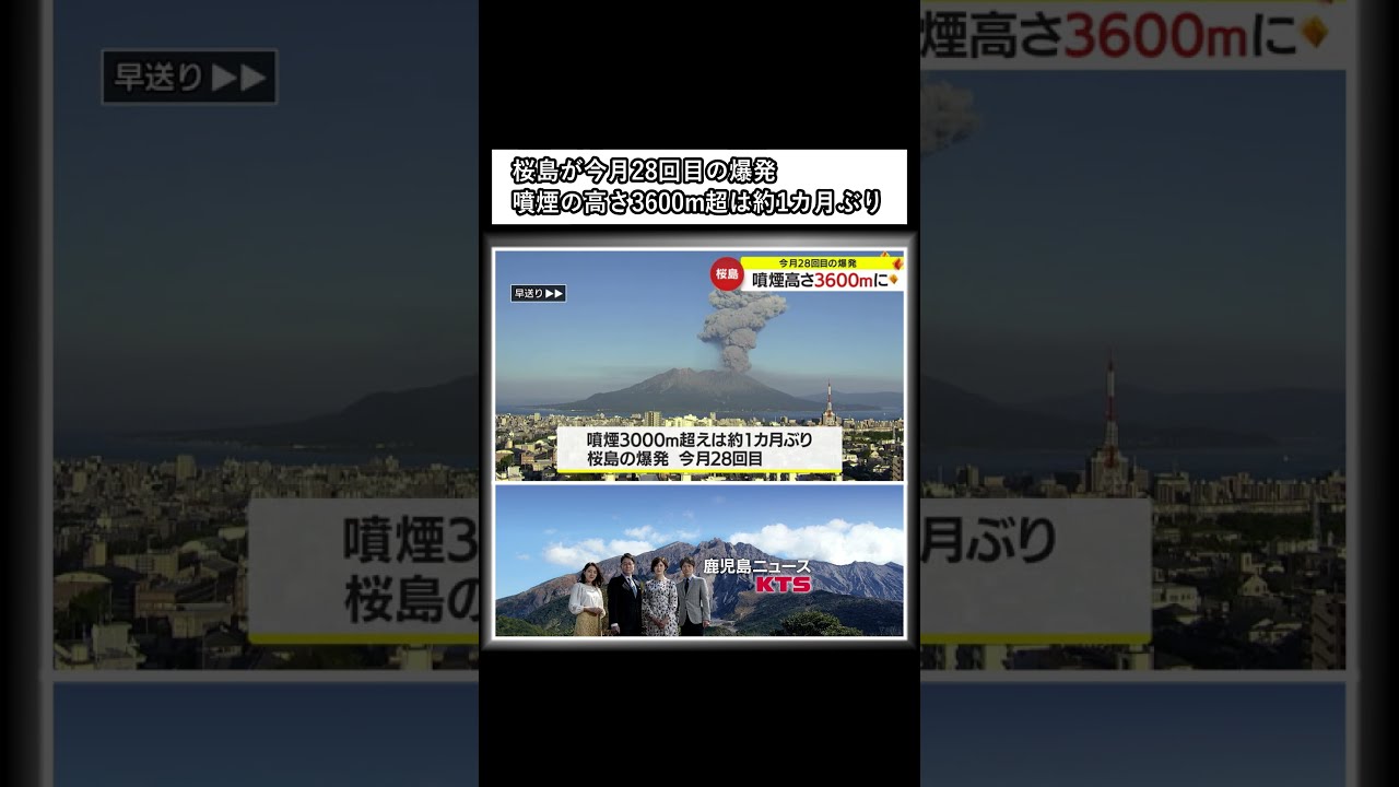 まむ（次回は７月２３日に発送予定） 発送予定日とは？配送予定日との違いや早めることのメリットを紹介！