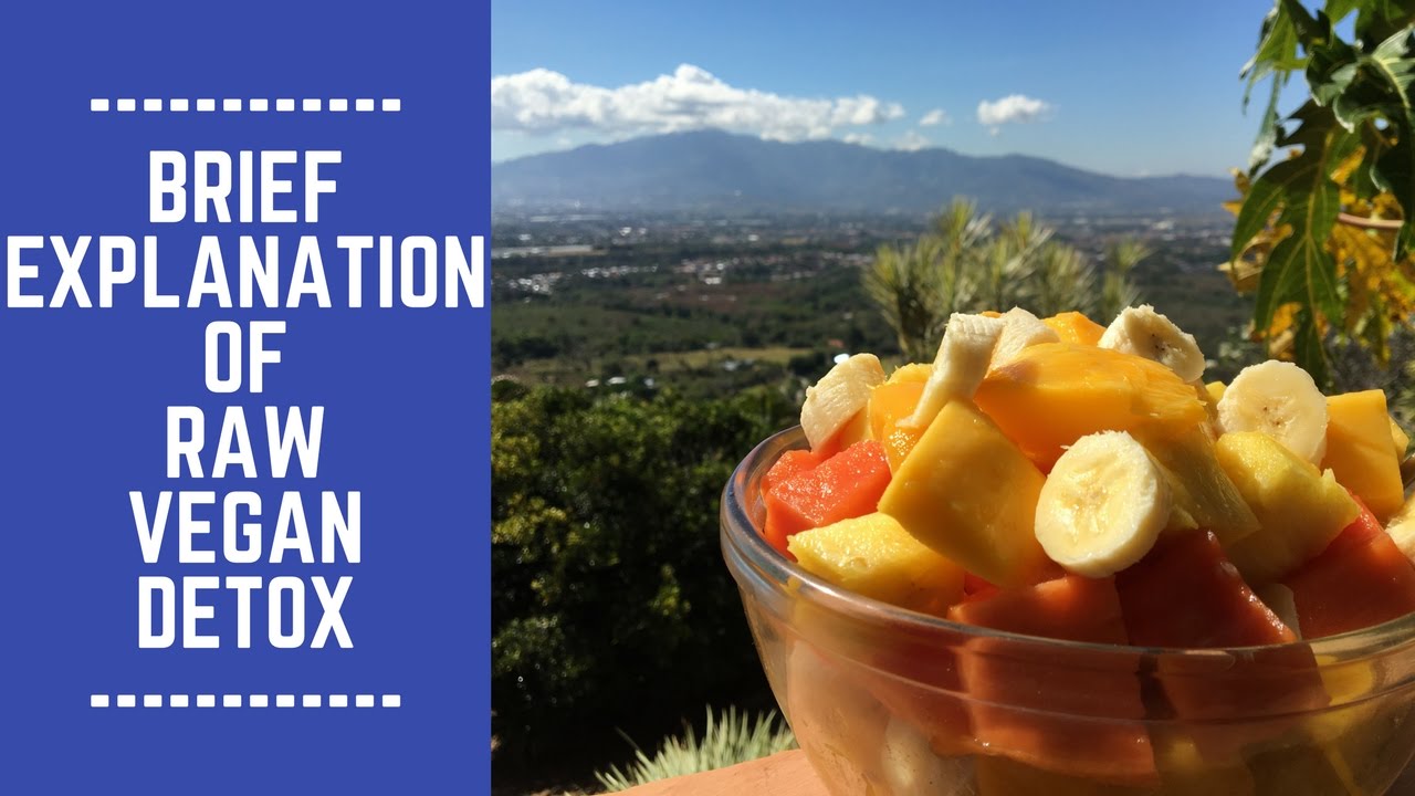 Brief Explanation of Raw Vegan Detox YouTube