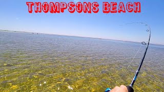 Thompsons Beach Top water Fishing! Heaps of Tommie's! South Australia Fishing