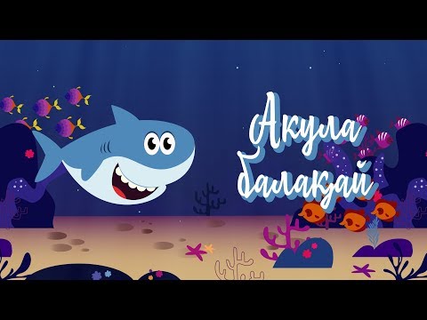 Бейне: Акулалар қалай көбейеді