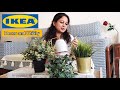 IKEA Products | Decor and Utility IKEA Shopping Haul | Affordable Home Decor Finds | India