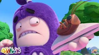 The Perfect Picnic! | Oddbods Tv Full Episodes | Funny Cartoons For Kids