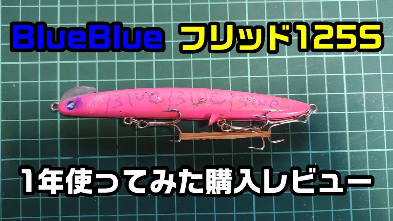 購入レビュー】BlueBlue フリッド125Sを1年間使ってみた - YouTube