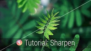 Sharpen Intro Tutorial