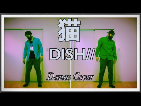 【踊ってみた】猫／DISH オリジナル振付けで踊りました。#猫#DISH#踊ってみた#北村匠海