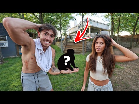 I Surprised my Girlfriend with Her DREAM Animal…