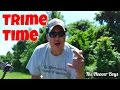 Metal Detecting Colonial Farm Fields Coins & Relics! Trime Time