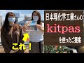 （ヘッズライフスタイル事業部）日本理化学工業さんのkitpasを使ったご提案