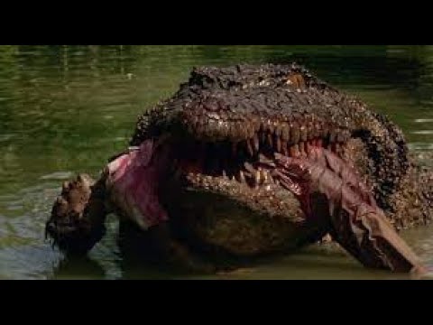 New Hollywood Movie Hindi Dubbed | CROCODILE PLANET- Ragin Cajun Redneck Gators