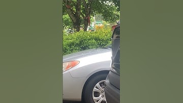 Old video I took of Newbergs labrie automizer on trash