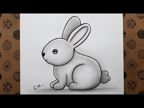 En Kolay Sevimli Tavşan Resmi Adım Adım Nasıl Çizilir, Kolay Hayvan Çizimleri