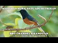 Masteran Murai Batu Adu Ketrekan Mp3 - Mp4 Download