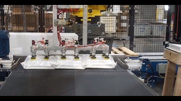 Robotic Case Packer - Flexi Packer, Trays of Vials - BW Integrated Systems