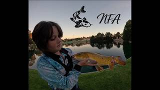 2 Big Carp From a Tiny Pond