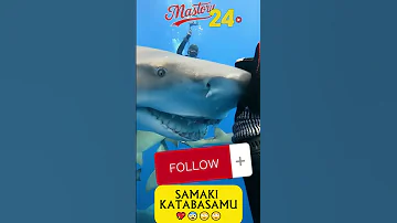 SAMAKI ALITABASAMU KWA RAFIKI YAKE 