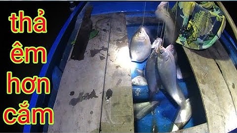 Cắm Câu Cùng Thả Câu Thử Cái Nào Dính Nhiều/Định Nguyễn Hậu Giang