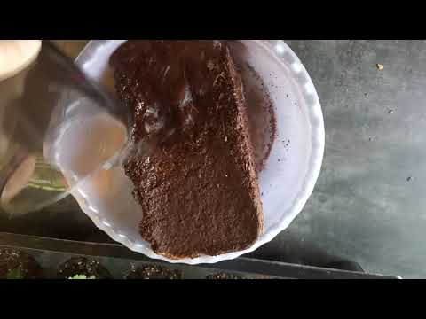 Ежевика Тройная корона,